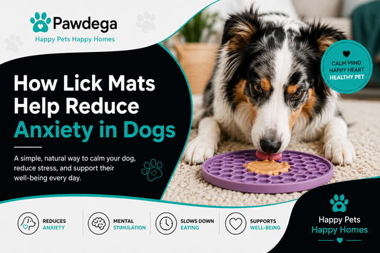 How Lick Mats Help Reduce Anxiety in Dogs