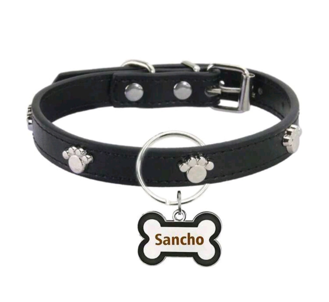 Dog collar detail view