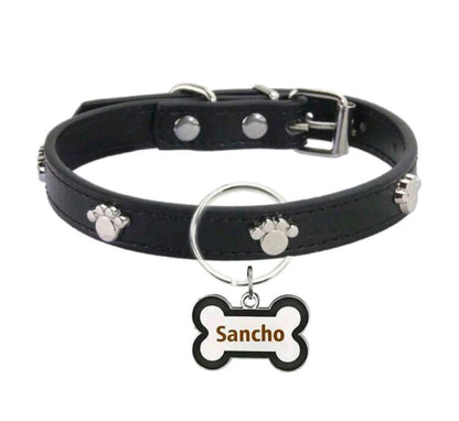 Dog collar detail view