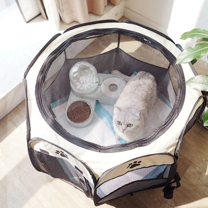 Cat resting inside collapsible pet playpen