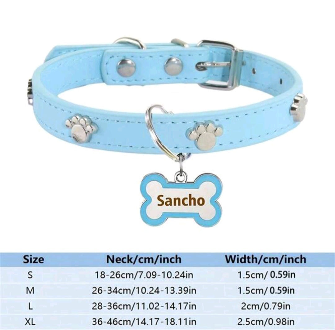 Dog collar color options