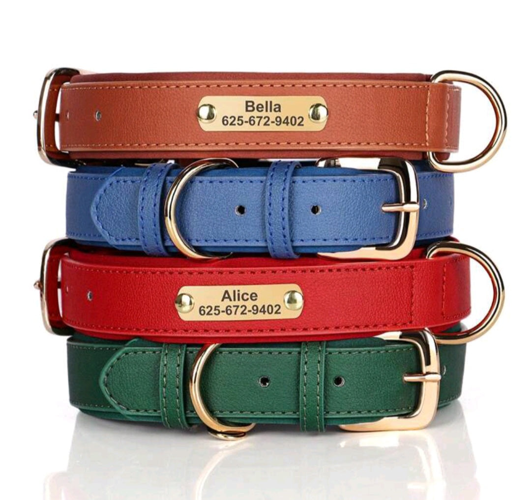 Pet collar detail view