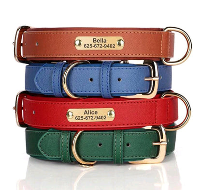 Pet collar detail view